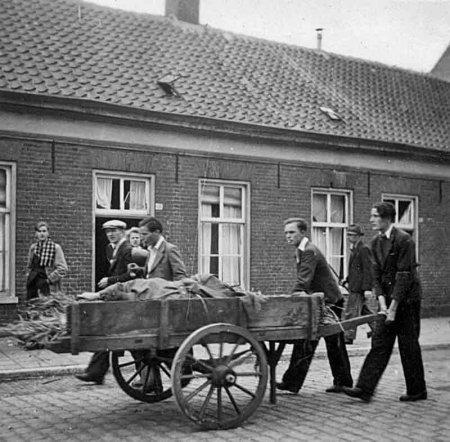 Klik om de foto te vergroten...